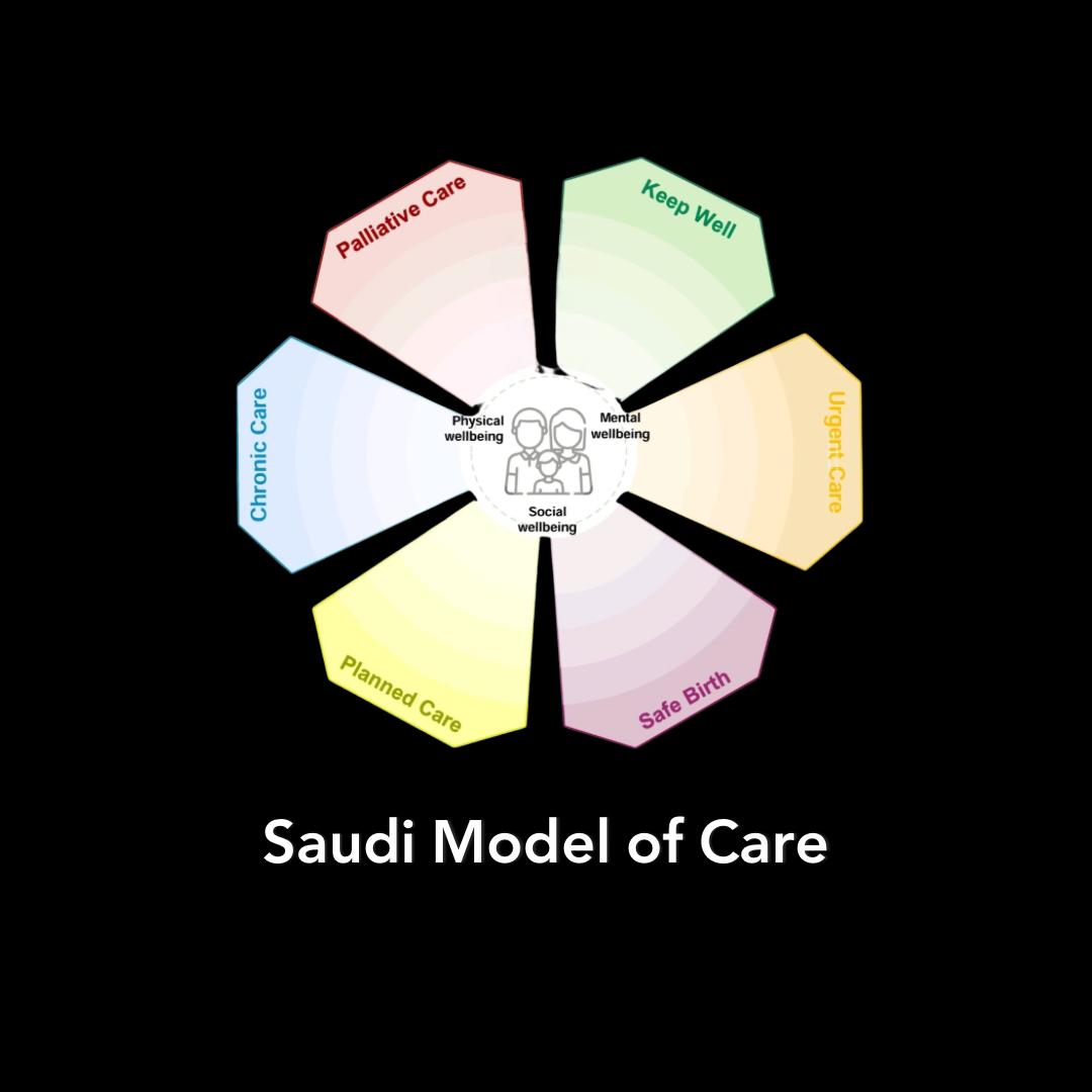 Saudi Model of Care
